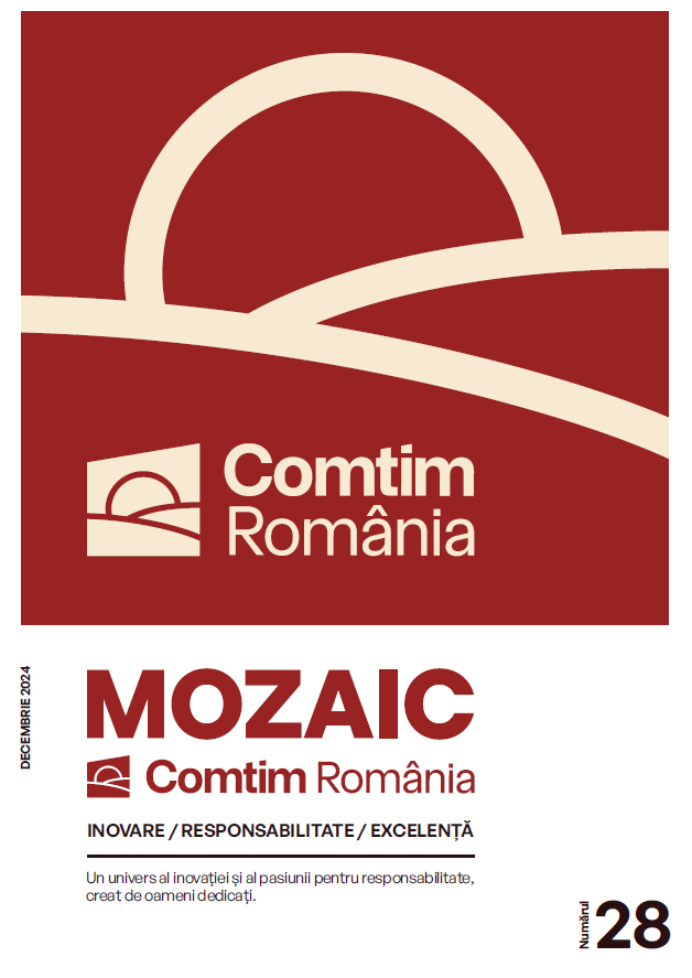 Revista Mozaic nr.28